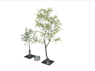 现代景观<em>行道树</em> 3D乔木 <em>树</em>